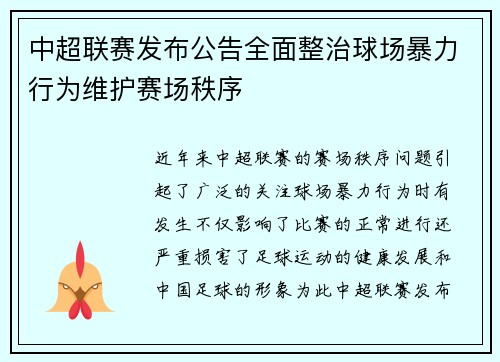 中超联赛发布公告全面整治球场暴力行为维护赛场秩序